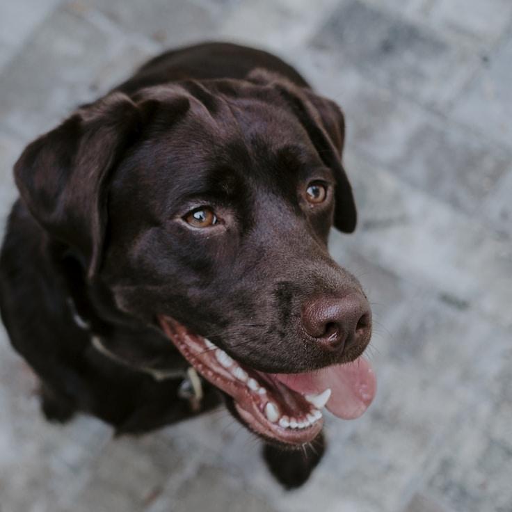 Avery Lin, Lead Design Curator at RidgeWhisperMead, reviewing corporate floral arrangements